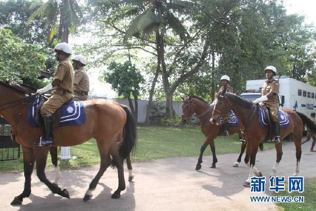 在斯里兰卡首都科伦坡,有一批特殊的交通警察,他们每天下午骑着马在