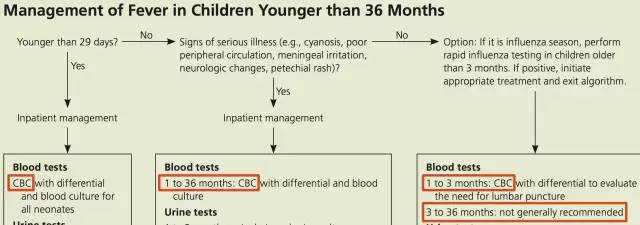 孩子发烧需要查血常规吗?