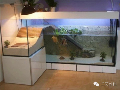 想知道比尔盖茨家的鱼缸长什么样吗?