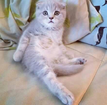 你不要这样看我,总觉得我非礼你一样!