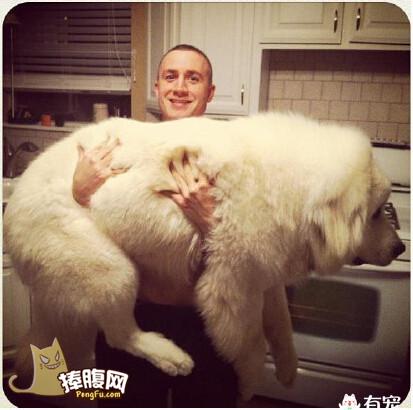 我就想弱弱的问一句,这么大一坨,破坏力如何?