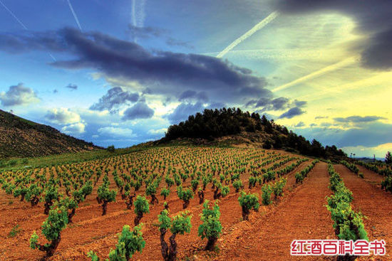 葡萄酒年份指南之西班牙里奥哈与杜罗河产区-
