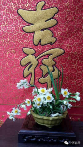 水仙花的花语与传说故事
