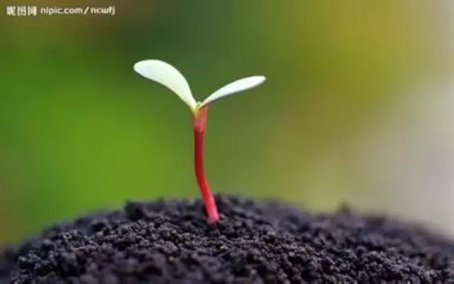 b3e83d1f0815a0a8dca2e6f5fc09092e_640_400.jpg