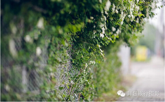 去见你想见的人吧 · 趁阳光正好,趁你还未老