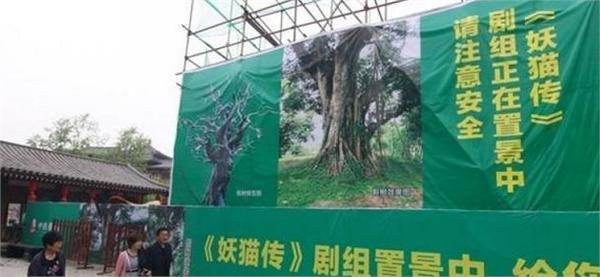 赵丽颖再度遭前任经纪人手撕 是因人品太差还