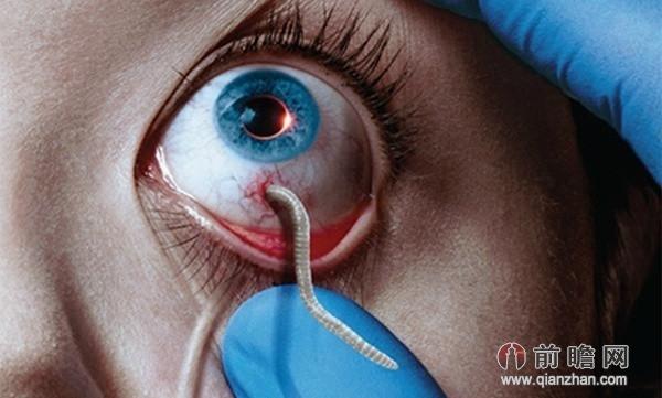 血族第二季大结局诺拉死去 第三季获续订明年