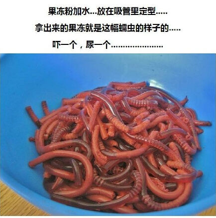 盘点愚人节整人方法,还能不能愉快的玩耍了?!