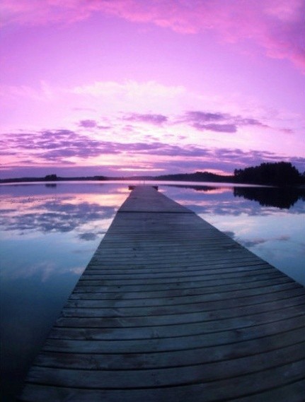 不争、不辨,无畏、无惧