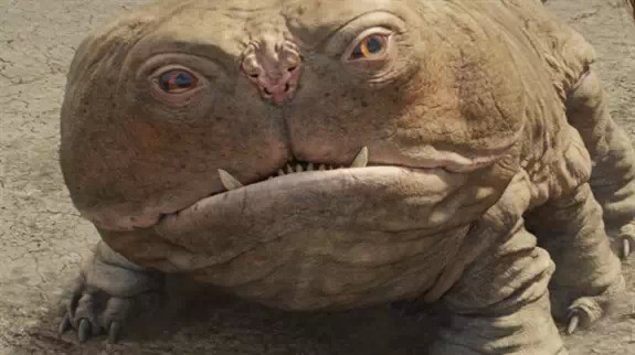 一大波来自星星的逗比们!被最后一只萌倒了