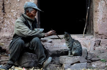 等我老了,也希望有一只猫咪陪伴,超温暖!-路过