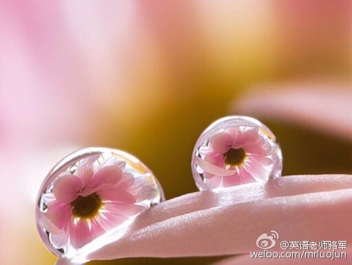 6种方法改善你的英语发音方式