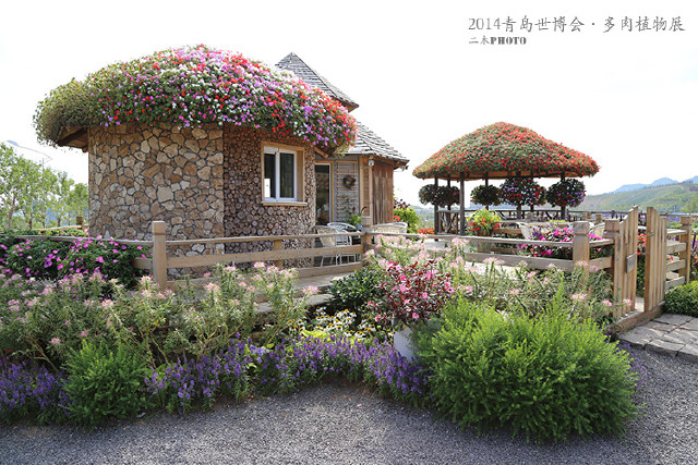 2014青岛世博园-多肉植物展