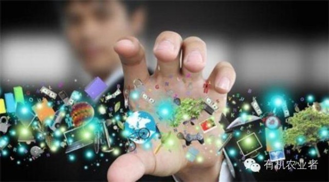 现代休闲农庄常见赢利模式参考-有机农业者