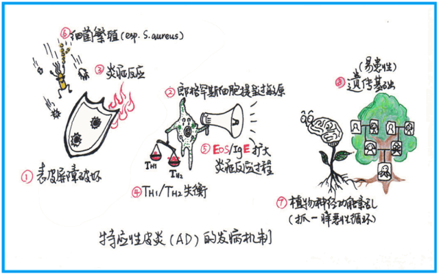 你听说过特应性皮炎吗?