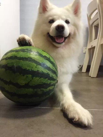 Cut!不拍了! 这借位吻戏你俩演的有没有走心你