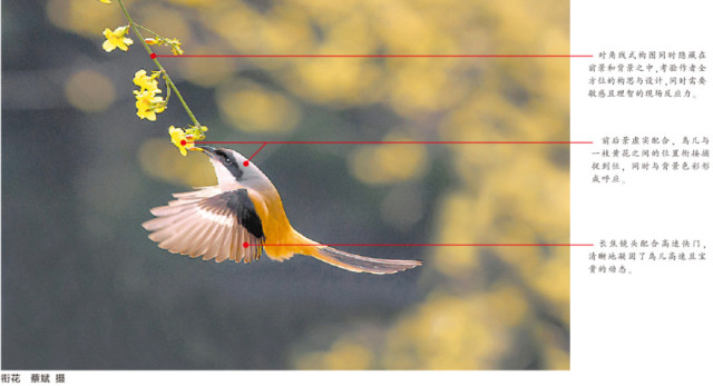 虚实相生-中国摄影报