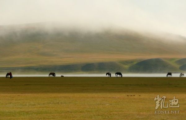 gdp低一定穷吗_我国的人均gdp数量低(3)