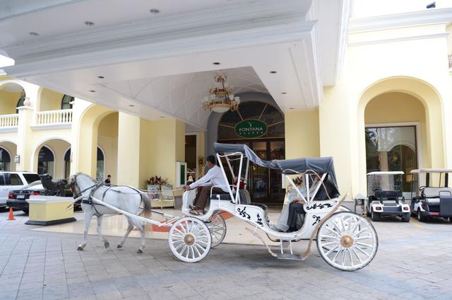 我和你,冬季开启菲一般的热带度假之旅