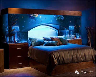 想知道比尔盖茨家的鱼缸长什么样吗?