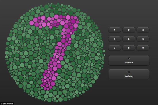 色盲在线测试系统:可检测色觉能力与色盲类型