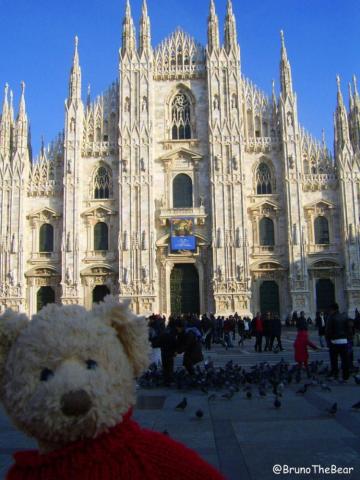 万万没想到今天我被一只熊给虐哭了!