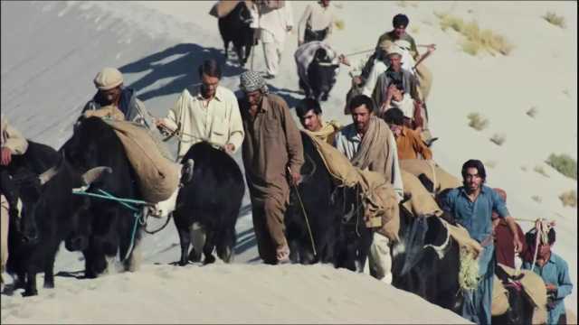 法国纪录片中撼动心灵的故事:德国党卫军官收