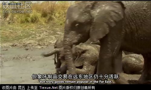 赞比亚有多少人口_赞比亚地图(2)