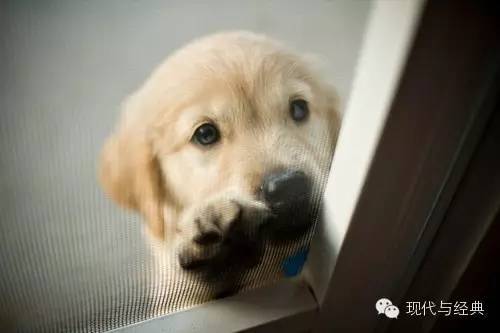 作文评改轻松高效的秘诀:千万不要一视同仁