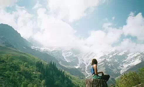 d6f40615429e5593071c3cb16f508692_491_297.jpg
