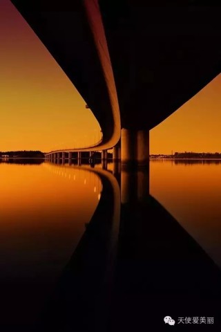 知我者谓我心忧,不知我者谓我何求!_新浪悦读