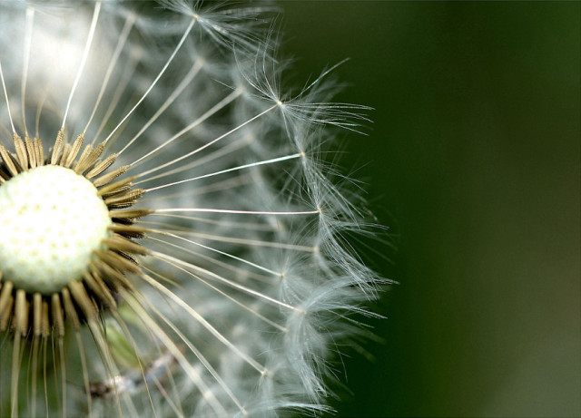 虚实相生-中国摄影报