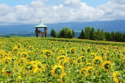 三四月最适合去哪些国家旅行