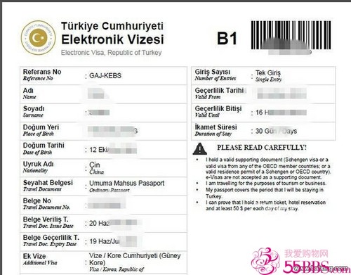 土耳其攻略 土耳其电子签证办理流程