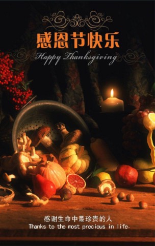e19ed52b04397e53c4a1c0a272bda894_304_480.jpg
