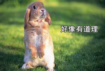 今日段子 | 世上无难事,只要肯放弃!