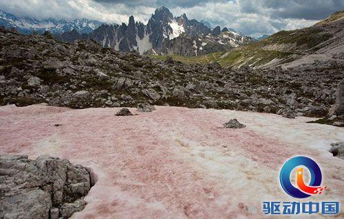 雪为何会呈现蓝色或红色?揭开其中的奥秘