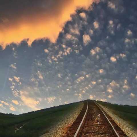 e4c8c04a83ed7be7cb3787ee212b0ab6_480_480.jpg