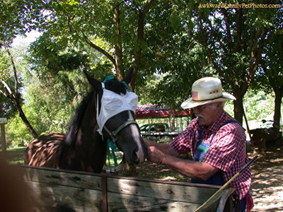 【趣图】<em>姑娘不</em>带罩罩<em>是怎样一种体验</em>_新浪悦