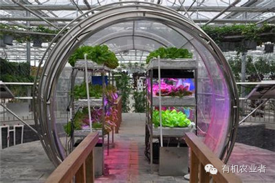 农业未来发展的方向在哪里?