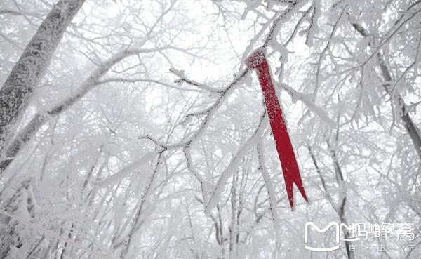 元旦去济州岛好吗,2017元旦济州岛天气预报
