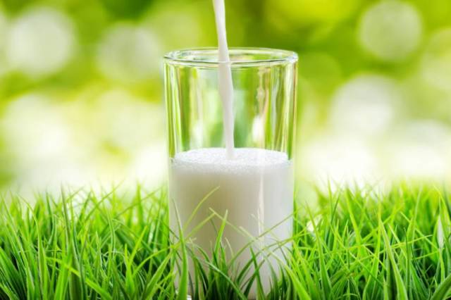 自制牛奶面膜,20分钟养成豆腐肌~~