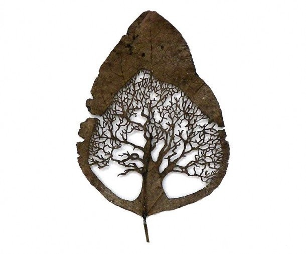 德国剪影或瑞士传统剪纸艺术相类似的手法,在树叶上进行精细的雕刻