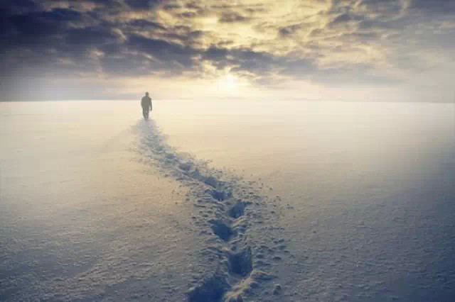 刘亮程:落在一个人一生中的雪,我们不能全部看