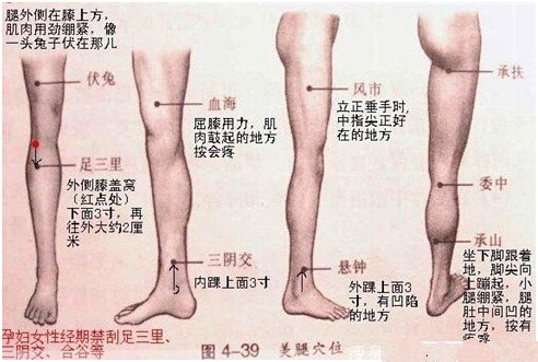 <em>姑娘</em>们,别白费劲了,胖不是因为你吃得多,而是因