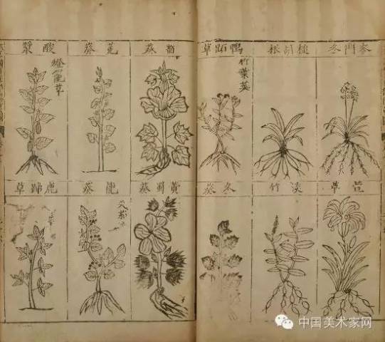 本草春运营中心,本草春什么时候上市