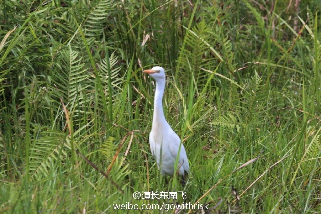 马萨卡(Masaka)--被遗忘的旅游线路