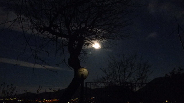 诗经典·守夜人 | 余怒