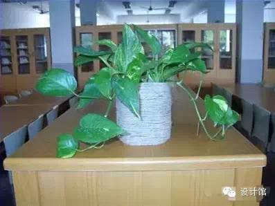 瓶子做花盆有哪些技巧 f34bcb5999d864c5662000ddb728452e_397_298.jpg