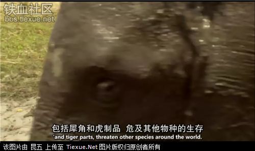 赞比亚有多少人口_赞比亚地图(2)